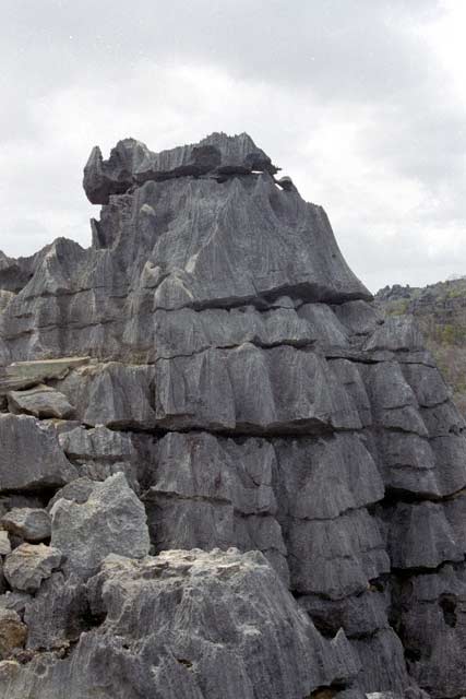 Petits Tsingy, l'Ankarana National park. Madagascar.