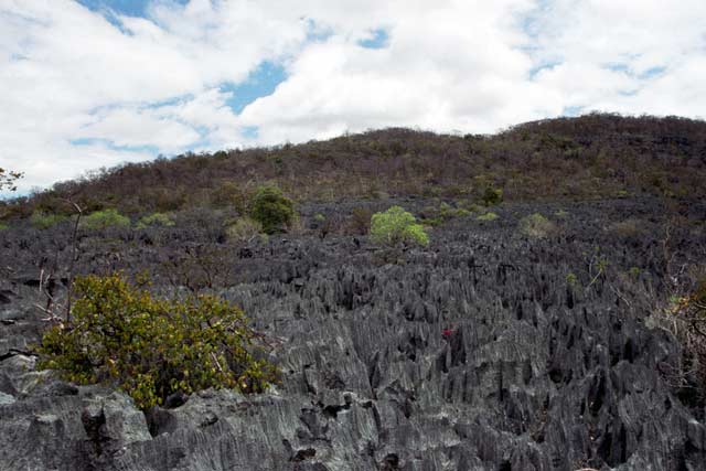 Grands Tsingy, l'Ankarana National park. Madagascar.