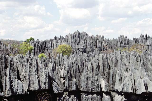 Grands Tsingy, Tsingy de Bemaraha National park. Madagascar.